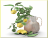 Tabletop Lemon Plant