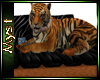 My Tiger SSDJC