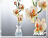 !Vase Orchids Sun