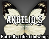 Butterfly wings #16