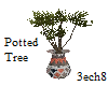 Potted Tree - Plant