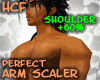 Perfect Arms +60%