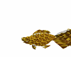 [KL] Yellow Gold Fish