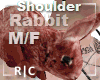 R|C Real Rabbit Red MF