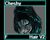 Cheshy Hair F V2