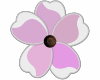 6v3| Purple Flower