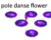 pole dance flower