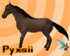 Dark Bay Horse (ride)