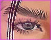 ♡ Eyebrows Black
