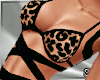 SR- Leopard