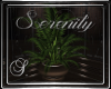 (SL) Serenity Plant