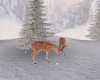 Winter Deer with Poses
