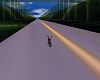 riding harleys