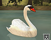 MayeAnimated Swan