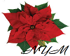 Christmas Poinsettia