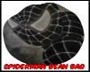  KID SPIDERMAN BEAN BAG