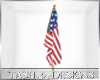 TD| USA Flag