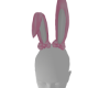 𓍼ོ Bunny Ears
