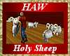 Holy Sheep