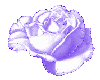 M Tiny Lavender Rose