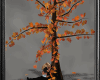 Fall Tree Kiss