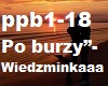 Po burzy