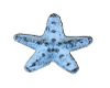 BLUE STARFISH