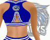 WSOS Cheer Skirt