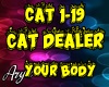 Cat Dealer Your Body