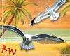 |BW| Seagulls Enhancer