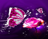 Butterfly_Rose