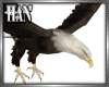 [H]Eagle ►Furn