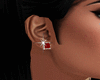 Silver-Red Earrings