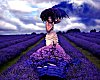 ©CEXP Lavender Standing