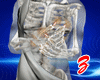!!Z!!Ghost Hands M