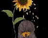 Cutout Sunflower Girl