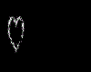 amour
