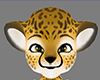 female cheetah skin