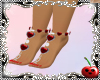 Ch Gipsy  Heart Feet