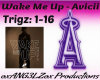 Wake Me Up-Avicii