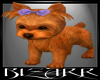 ~B.z Cutie the Dog