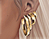 Golden Earrings!