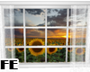 Fe>Sunflower Windows
