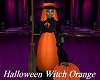 Halloween Witch Orange