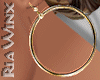 Large Gold Hoops