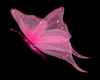 Pink butterfly {R}