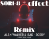 Alan Walker_Isak-Sorry