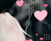 Floating Hearts