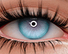 c. Eyes  2