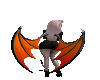 Orange and black wings